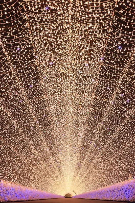 光のトンネル（縦サイズ）