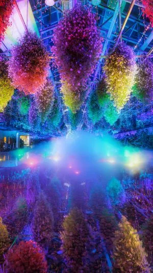 無料スマホ壁紙 映えすぎる空間。AndroidとiPhoneに対応した4K高画質の無料待ち受け画像。三重県桑名市のなばなの里で撮影したフリー写真素材