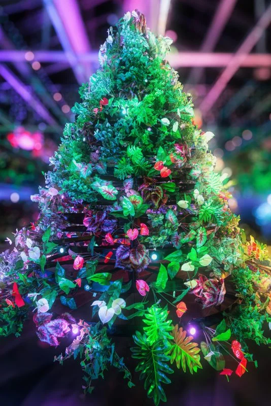無料スマホ壁紙 📱 カラフルなクリスマスツリー | なばなの里の写真