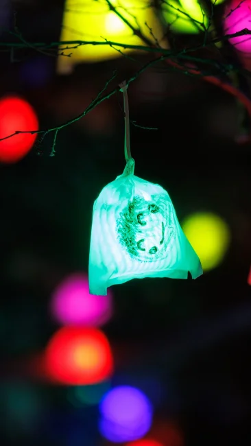 無料壁紙 光の実（水色）。PCとデスクトップ壁紙に最適な4K高画質の無料壁紙。三重県津市のそうぶんの月灯りで撮影したフリー写真素材