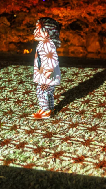 無料壁紙 伊勢型紙の模様が映るプロジェクションマッピング。PCとデスクトップ壁紙に最適な4K高画質の無料壁紙。三重県津市のそうぶんの月灯りで撮影したフリー写真素材