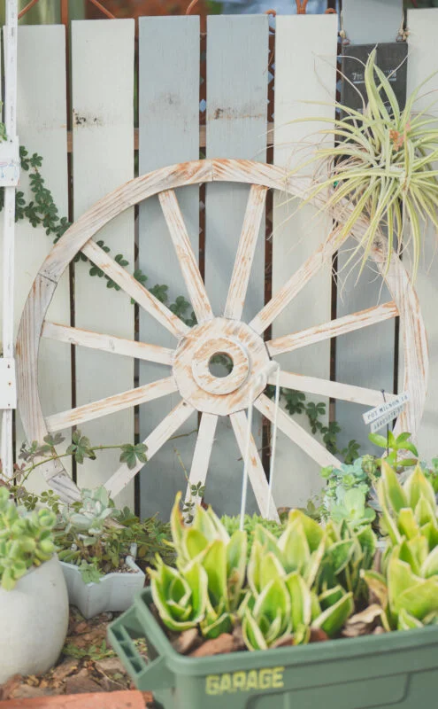 無料スマホ壁紙 おしゃれなガーデニング。AndroidとiPhoneに対応した4K高画質の無料待ち受け画像。三重県桑名市のベゴニアガーデンで撮影したフリー写真素材