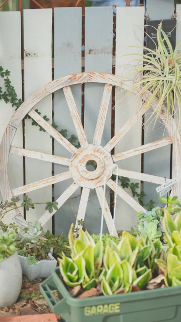 無料スマホ壁紙 おしゃれなガーデニング。AndroidとiPhoneに対応した4K高画質の無料待ち受け画像。三重県桑名市のベゴニアガーデンで撮影したフリー写真素材