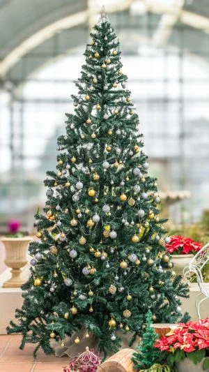 無料スマホ壁紙 クリスマスツリー。AndroidとiPhoneに対応した4K高画質の無料待ち受け画像。三重県松阪市の松阪農業公園ベルファームで撮影したフリー写真素材