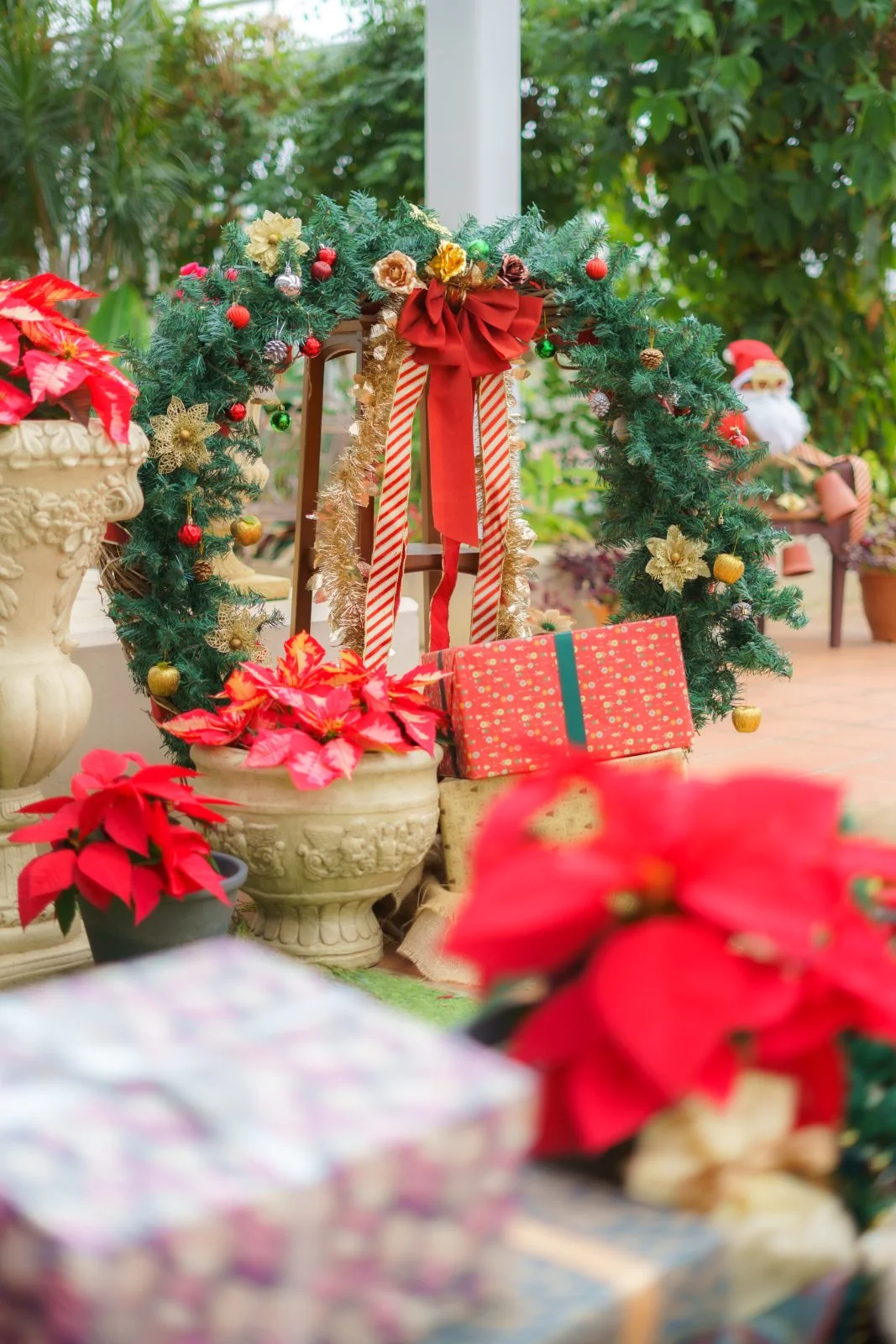 無料スマホ壁紙 メリークリスマス。AndroidとiPhoneに対応した4K高画質の無料待ち受け画像。三重県松阪市の松阪農業公園ベルファームで撮影したフリー写真素材