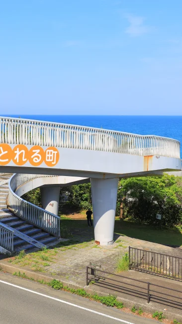 年中みかんのとれる町（三重県御浜町・七里御浜ふれあいビーチ）