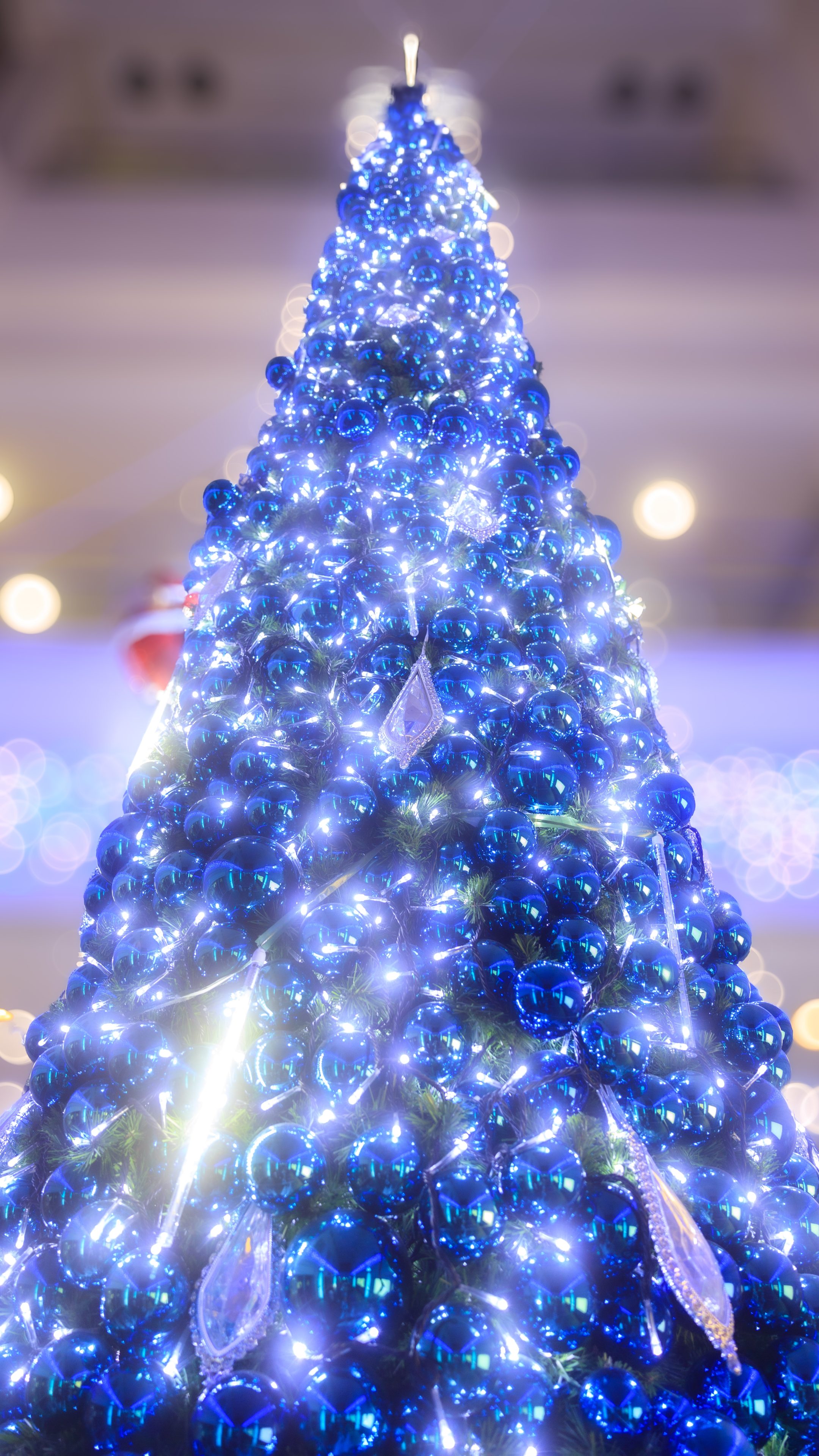 無料スマホ壁紙 青色に輝くクリスマスツリー。AndroidとiPhoneに対応した4K高画質の無料待ち受け画像。三重県津市のアスト津で撮影したフリー写真素材