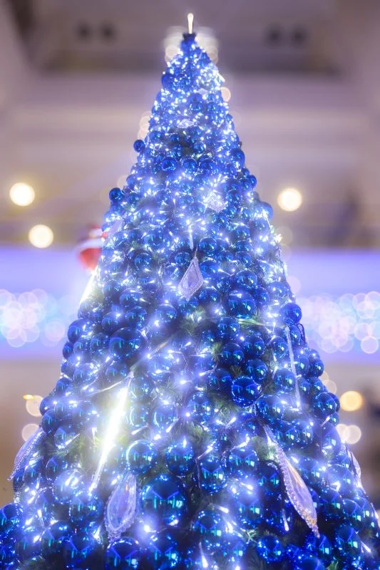 無料スマホ壁紙 青色に輝くクリスマスツリー。AndroidとiPhoneに対応した4K高画質の無料待ち受け画像。三重県津市のアスト津で撮影したフリー写真素材