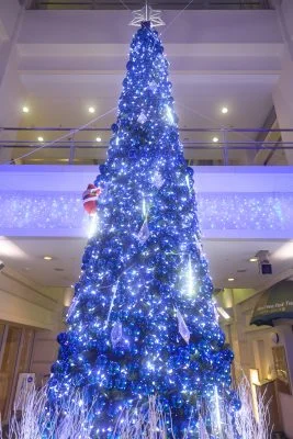 アスト津のフリー素材