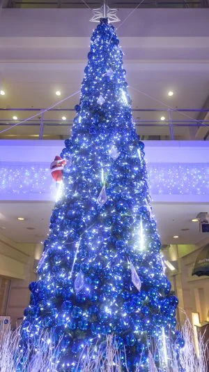 無料スマホ壁紙 アストモールのクリスマスツリー。AndroidとiPhoneに対応した4K高画質の無料待ち受け画像。三重県津市のアスト津で撮影したフリー写真素材