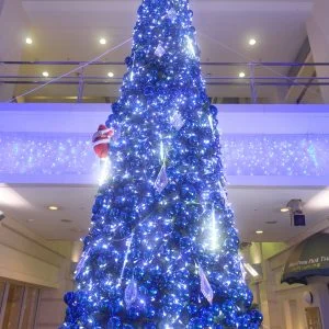 アスト津のフリー写真素材