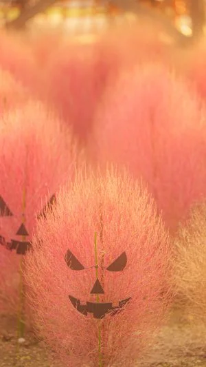 無料スマホ壁紙 コキアのおばけがやってきた。AndroidとiPhoneに対応した4K高画質の無料待ち受け画像。三重県松阪市の松阪農業公園ベルファームで撮影したフリー写真素材