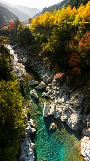 無料スマホ壁紙 新領内橋から眺める宮川の紅葉。AndroidとiPhoneに対応した4K高画質の無料待ち受け画像。三重県大台町の宮川で撮影したフリー写真素材