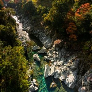 無料スマホ壁紙 新領内橋から眺める宮川の紅葉。AndroidとiPhoneに対応した4K高画質の無料待ち受け画像。三重県大台町の宮川で撮影したフリー写真素材