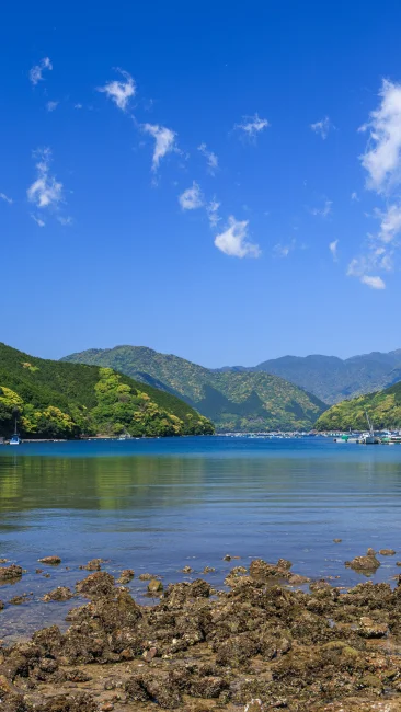 無料壁紙 大地浜の新緑と青空。PCとデスクトップ壁紙に最適な4K高画質の無料壁紙。三重県尾鷲市の盛松で撮影したフリー写真素材