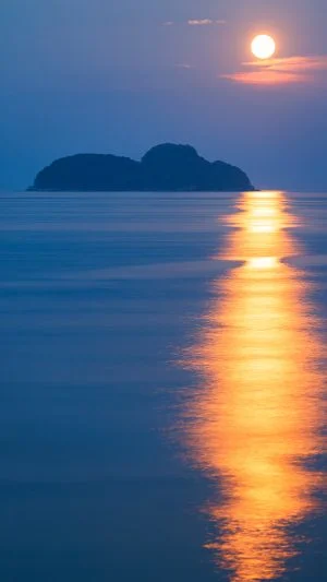 無料スマホ壁紙 佐波留島と黄金に輝く満月の道。AndroidとiPhoneに対応した4K高画質の無料待ち受け画像。三重県尾鷲市の尾鷲港で撮影したフリー写真素材