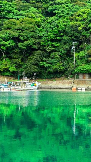 無料壁紙 新緑の波切漁港。PCとデスクトップ壁紙に最適な4K高画質の無料壁紙。三重県志摩市の大王埼灯台で撮影したフリー写真素材