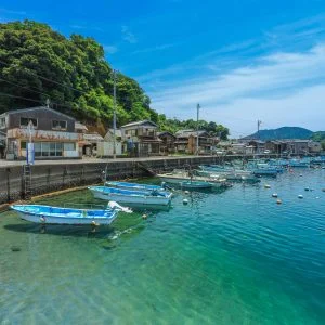 無料スマホ壁紙 新緑の九鬼町。AndroidとiPhoneに対応した4K高画質の無料待ち受け画像。三重県尾鷲市の九鬼町で撮影したフリー写真素材