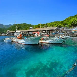 無料スマホ壁紙 初夏の九鬼漁港。AndroidとiPhoneに対応した4K高画質の無料待ち受け画像。三重県尾鷲市の九鬼町で撮影したフリー写真素材