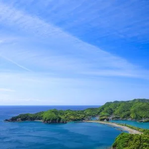 無料スマホ壁紙 新緑の相賀浦ニワ浜