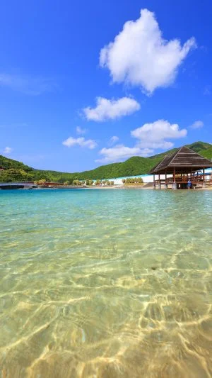 無料スマホ壁紙 まるで南国のような透明度。AndroidとiPhoneに対応した4K高画質の無料待ち受け画像。三重県大紀町の錦向井ヶ浜トロピカルガーデンで撮影したフリー写真素材