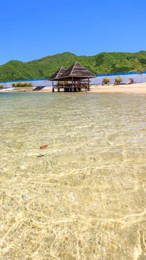 無料スマホ壁紙 まるで南国ビーチだけど三重県。AndroidとiPhoneに対応した4K高画質の無料待ち受け画像。三重県大紀町の錦向井ヶ浜トロピカルガーデンで撮影したフリー写真素材