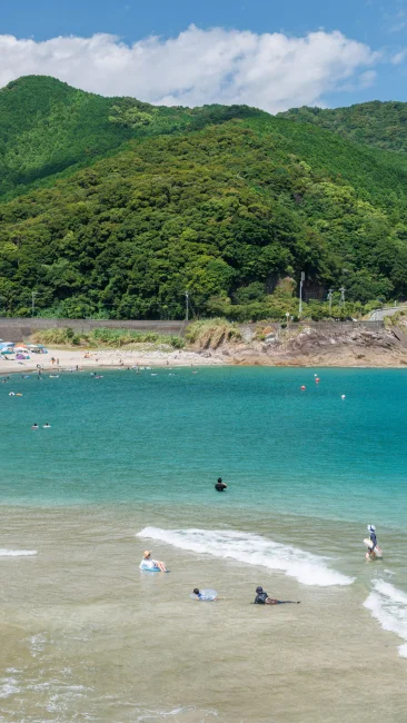 海水浴場で賑わうビーチ（三重県熊野市・大泊海水浴場）