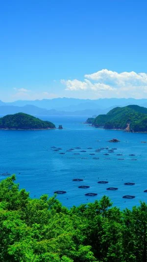 無料スマホ壁紙 青々とした錦湾。AndroidとiPhoneに対応した4K高画質の無料待ち受け画像。三重県大紀町の塩浜山村広場で撮影したフリー写真素材