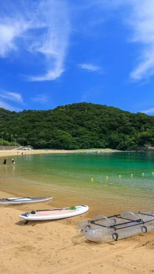 無料スマホ壁紙 海水浴で賑わうビーチ（縦）。AndroidとiPhoneに対応した4K高画質の無料待ち受け画像。三重県紀北町の城ノ浜プール＆ビーチで撮影したフリー写真素材