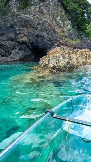 無料スマホ壁紙 クリアシーカヤックで遊覧（縦サイズ）。AndroidとiPhoneに対応した4K高画質の無料待ち受け画像。三重県紀北町の城ノ浜プール＆ビーチで撮影したフリー写真素材