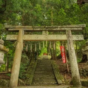 無料スマホ壁紙 鳥居越しに眺める参道の石段と山門。AndroidとiPhoneに対応した4K高画質の無料待ち受け画像。三重県津市の真福院で撮影したフリー写真素材