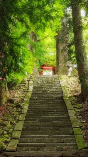 無料スマホ壁紙 参道の石段。AndroidとiPhoneに対応した4K高画質の無料待ち受け画像。三重県津市の真福院で撮影したフリー写真素材