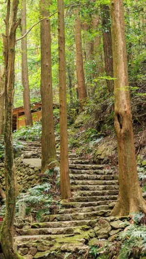 無料スマホ壁紙 まるで熊野古道みたいな天の岩戸へ続く階段。AndroidとiPhoneに対応した4K高画質の無料待ち受け画像。三重県志摩市の天の岩戸（恵利原の水穴）で撮影したフリー写真素材