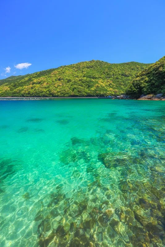 無料スマホ壁紙 エメラルドグリーンに輝く二木島湾。AndroidとiPhoneに対応した4K高画質の無料待ち受け画像。三重県熊野市の阿古師神社で撮影したフリー写真素材