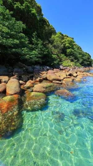 無料スマホ壁紙 南国のような海。AndroidとiPhoneに対応した4K高画質の無料待ち受け画像。三重県熊野市の阿古師神社で撮影したフリー写真素材