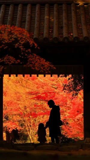 無料スマホ壁紙 山門と紅葉と親子。AndroidとiPhoneに対応した4K高画質の無料待ち受け画像。三重県津市の円光寺で撮影したフリー写真素材