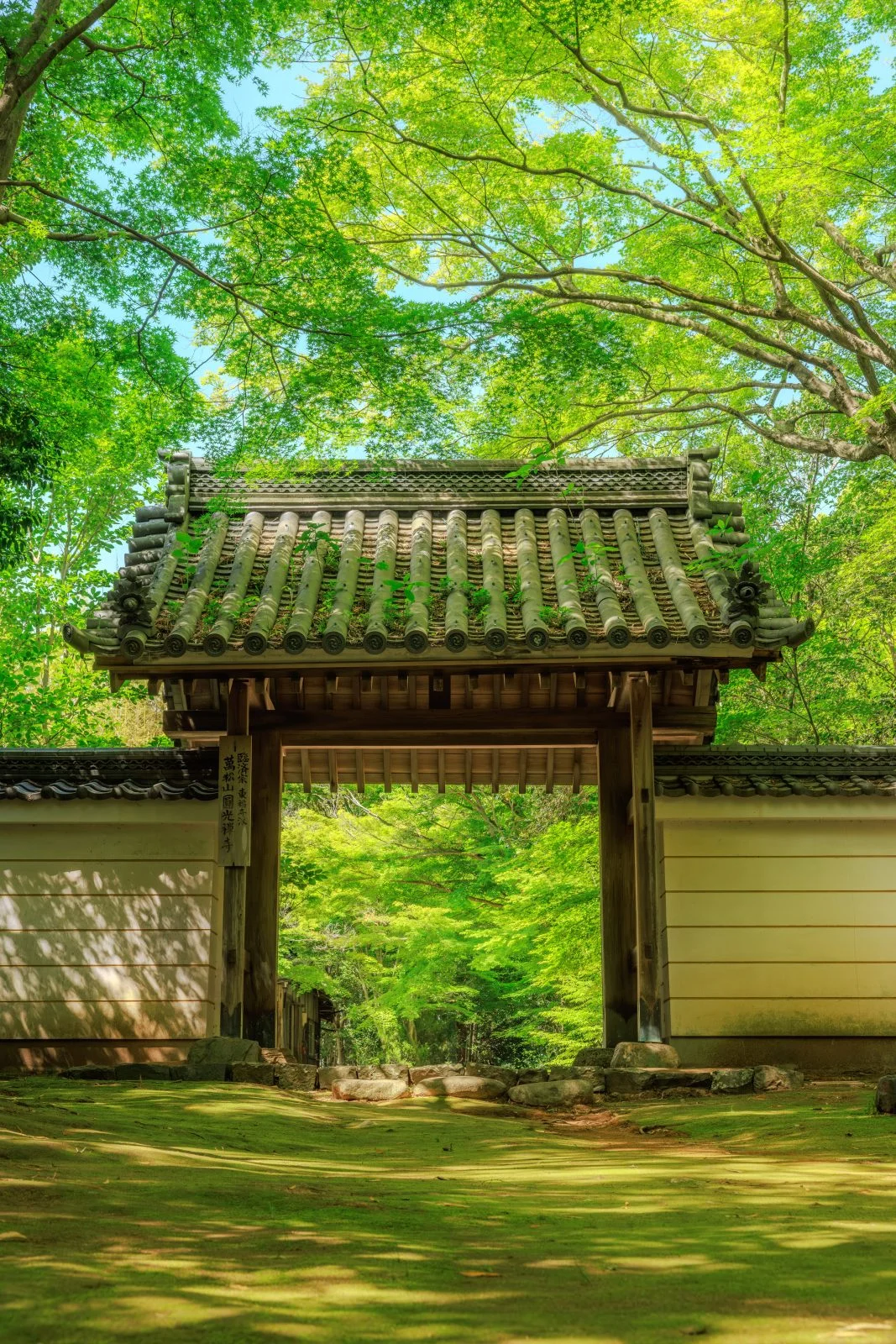 無料スマホ壁紙 新緑に輝く山門と苔。AndroidとiPhoneに対応した4K高画質の無料待ち受け画像。三重県津市の円光寺で撮影したフリー写真素材