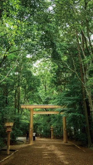 無料スマホ壁紙 外宮の参道。AndroidとiPhoneに対応した4K高画質の無料待ち受け画像。三重県伊勢市の伊勢神宮で撮影したフリー写真素材