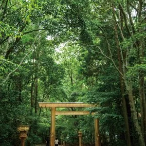 無料スマホ壁紙 外宮の参道