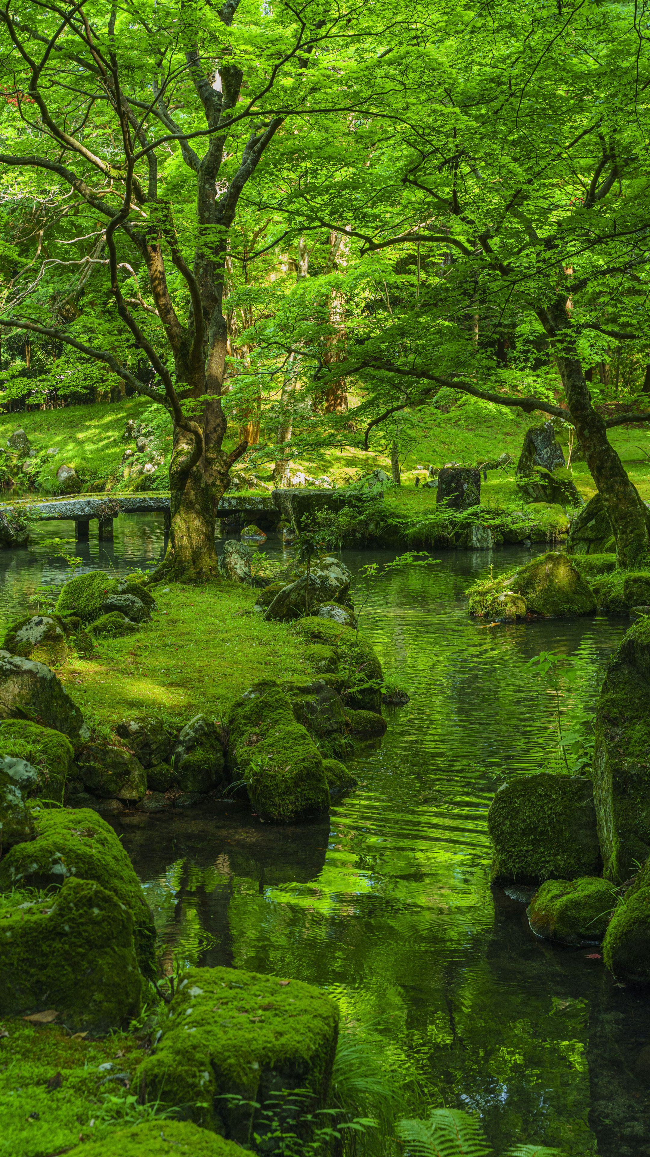 無料スマホ壁紙 新緑の絶景。AndroidとiPhoneに対応した4K高画質の無料待ち受け画像。三重県津市の北畠神社で撮影したフリー写真素材