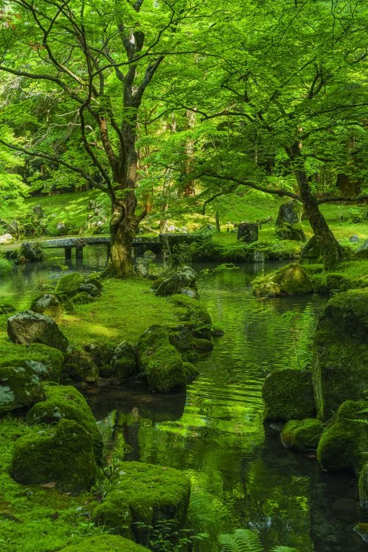 無料スマホ壁紙 新緑の絶景。AndroidとiPhoneに対応した4K高画質の無料待ち受け画像。三重県津市の北畠神社で撮影したフリー写真素材