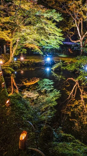 無料壁紙 水面に映る紅葉の庭園。PCとデスクトップ壁紙に最適な4K高画質の無料壁紙。三重県津市の北畠神社で撮影したフリー写真素材