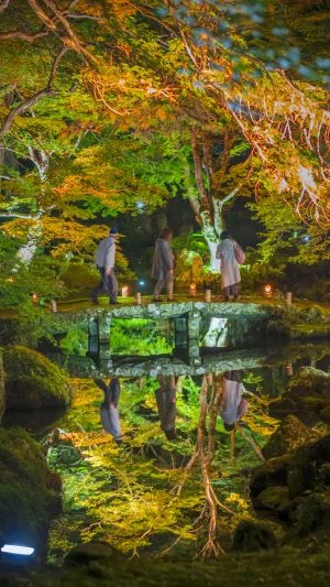 無料スマホ壁紙 庭園の石橋リフレクション。AndroidとiPhoneに対応した4K高画質の無料待ち受け画像。三重県津市の北畠神社で撮影したフリー写真素材