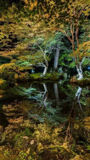 無料スマホ壁紙 紅葉リフレクション。AndroidとiPhoneに対応した4K高画質の無料待ち受け画像。三重県津市の北畠神社で撮影したフリー写真素材