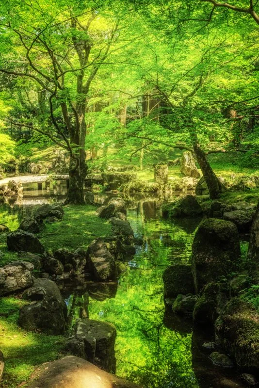 無料スマホ壁紙 眩しい新緑の庭園。AndroidとiPhoneに対応した4K高画質の無料待ち受け画像。三重県津市の北畠神社で撮影したフリー写真素材