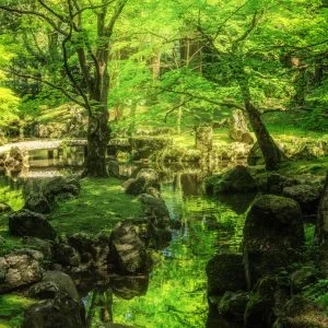 無料スマホ壁紙 眩しい新緑の庭園。AndroidとiPhoneに対応した4K高画質の無料待ち受け画像。三重県津市の北畠神社で撮影したフリー写真素材