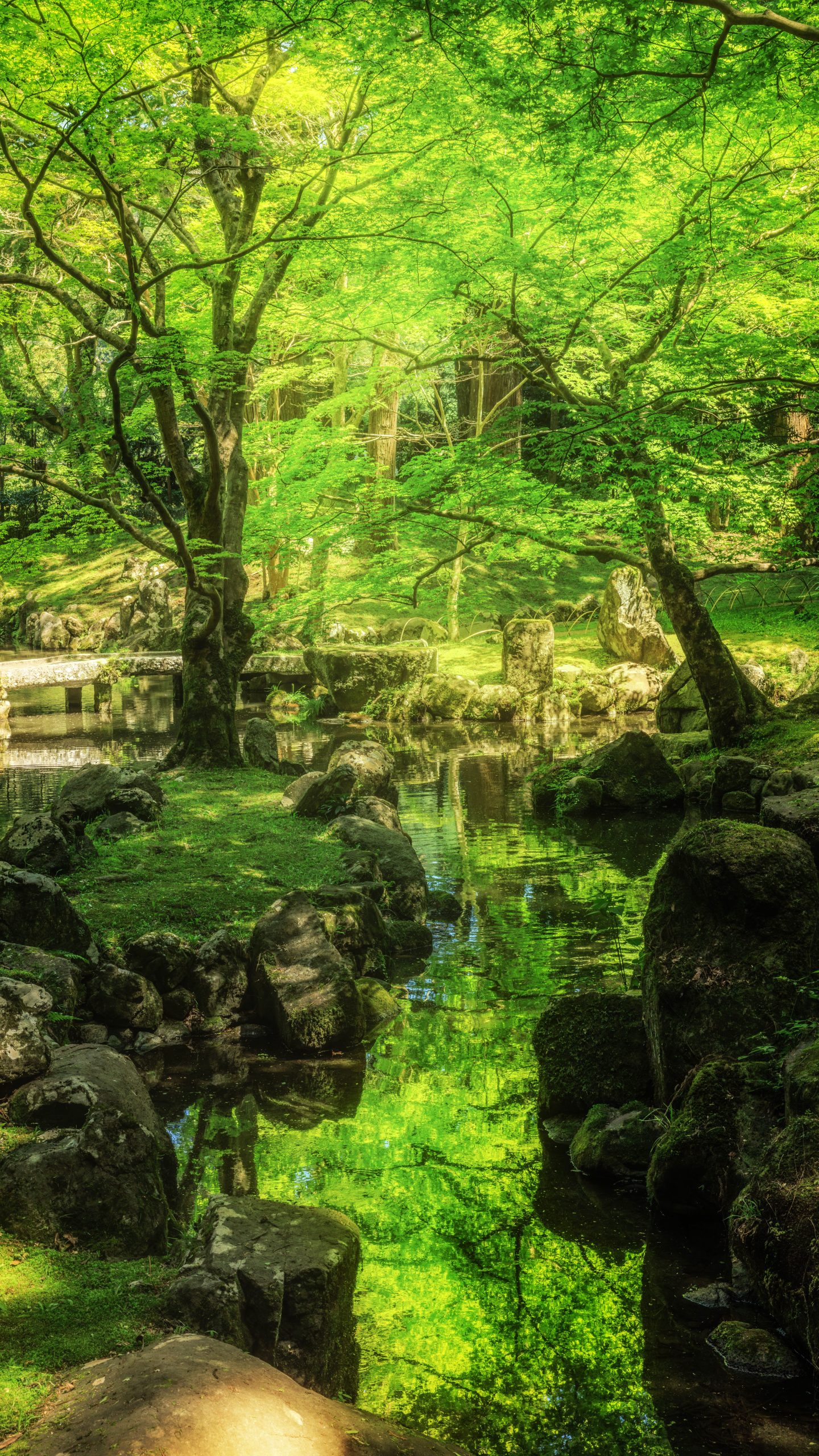 無料スマホ壁紙 眩しい新緑の庭園。AndroidとiPhoneに対応した4K高画質の無料待ち受け画像。三重県津市の北畠神社で撮影したフリー写真素材