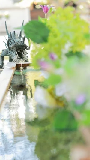 無料スマホ壁紙 花手水と龍。AndroidとiPhoneに対応した4K高画質の無料待ち受け画像。三重県伊賀市の広禅寺で撮影したフリー写真素材