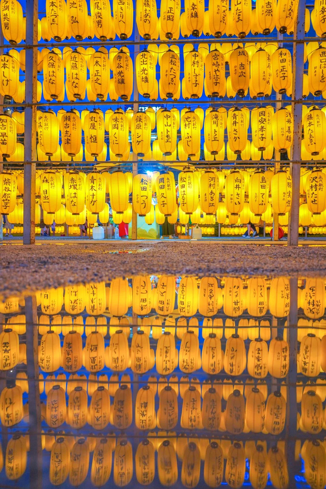 無料スマホ壁紙 提灯リフレクション。AndroidとiPhoneに対応した4K高画質の無料待ち受け画像。三重県津市の三重県護国神社で撮影したフリー写真素材