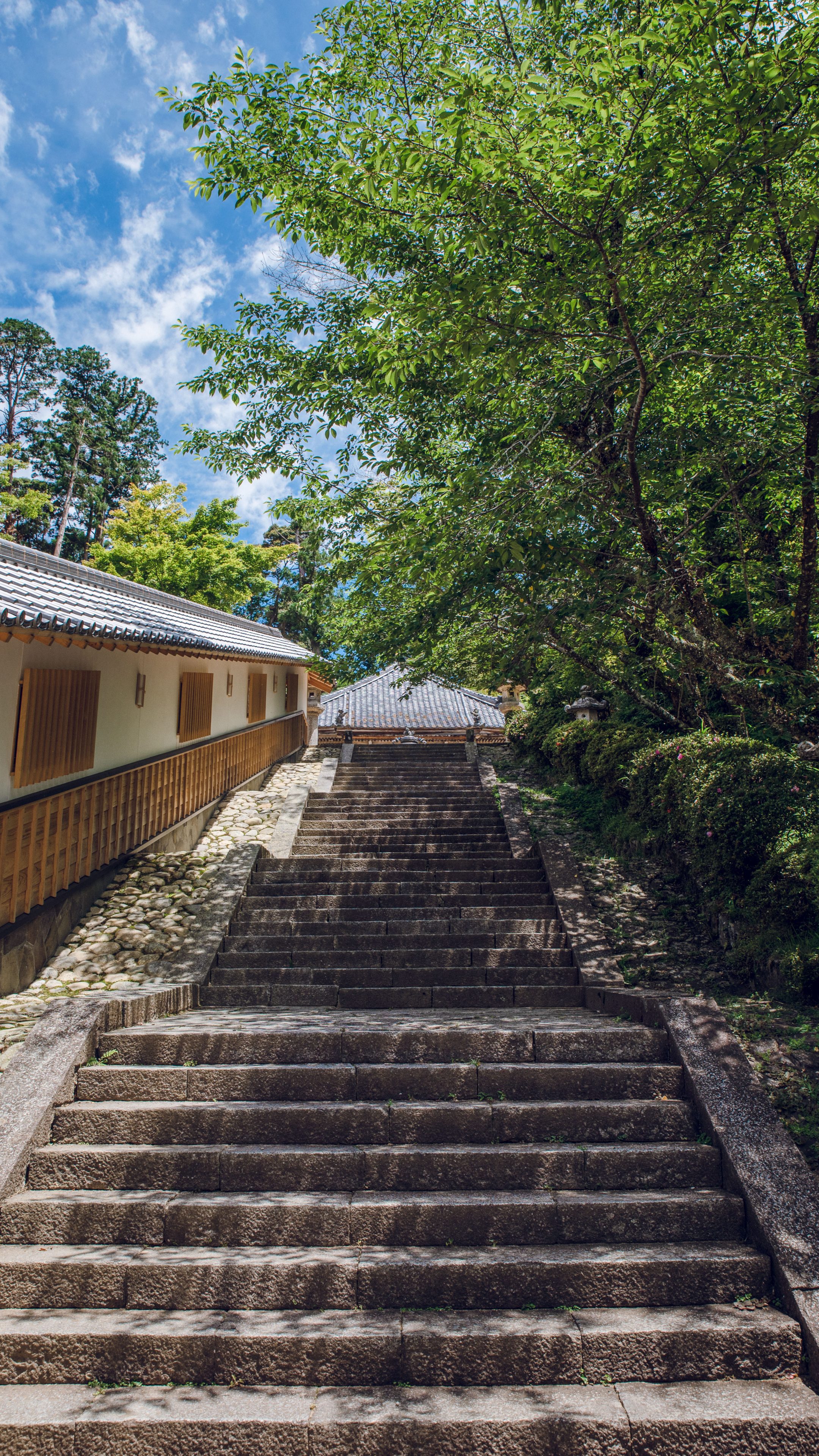 丹生大師の階段から見上げる(三重県多気町・丹生大師(丹生山神宮寺))